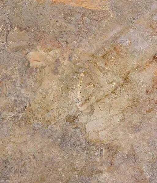 Burlington Rustic